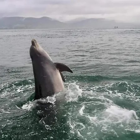 Stunning Location, Omeath Prázdninový dům *