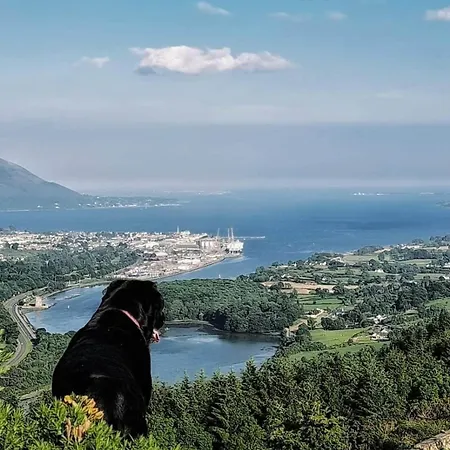 Stunning Location, Omeath