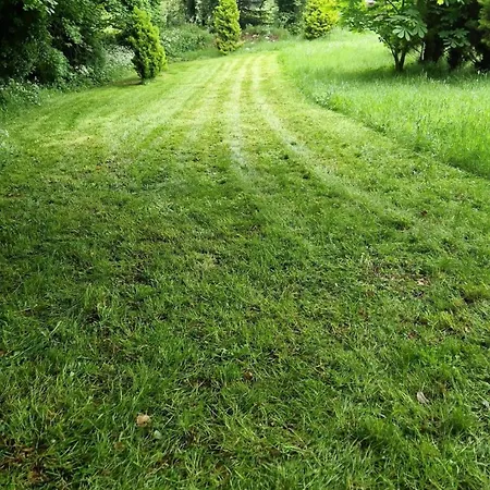 Ferienhaus Stunning Location, Omeath O Meith