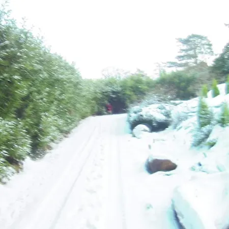 Stunning Location, Omeath Nyaraló