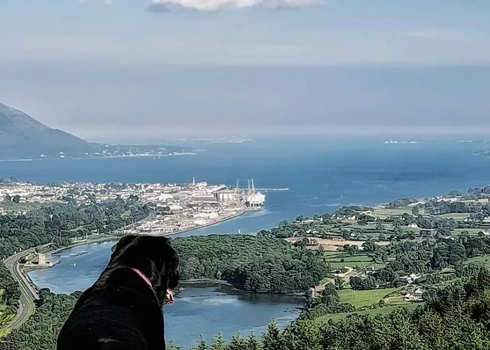 Stunning Location, Omeath