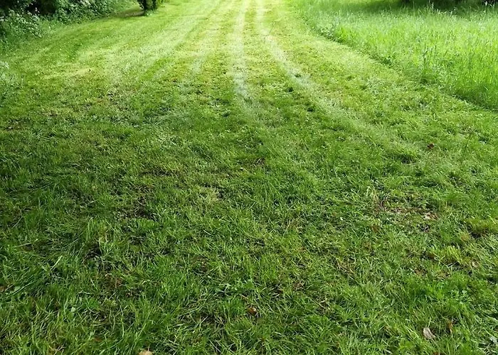 Feriehus Stunning Location, Omeath O Meith