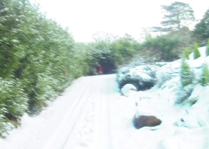 Stunning Location, Omeath Feriehus